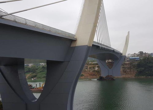 崇左大橋及引道工程喜獲“真武閣杯”獎，裝飾工程品質(zhì)獲權(quán)威認(rèn)可